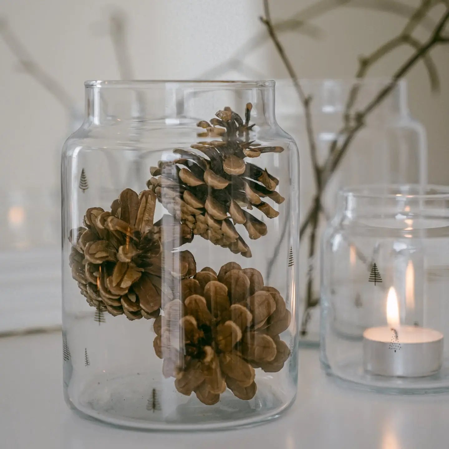 EULENSCHNITT Vase Sapin grand