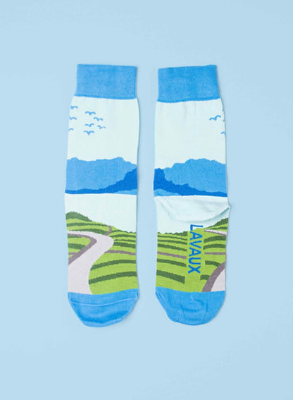 LE LABO DE PIWI Chaussettes Lavaux